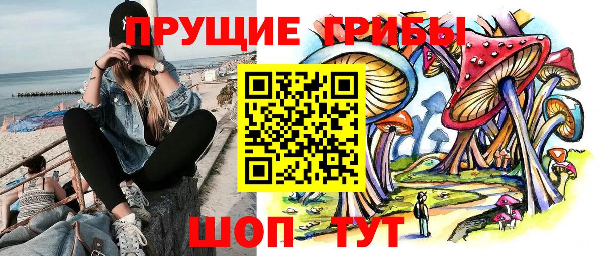 Галлюциногенные грибы Psilocybine cubensis  Вход с VPN  Магадан 
