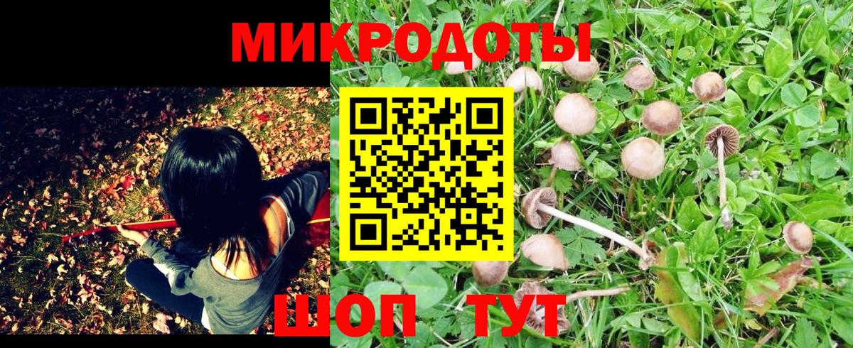 Псилоцибиновые грибы MAGIC MUSHROOMS Магадан